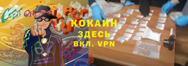 амф Дмитриев