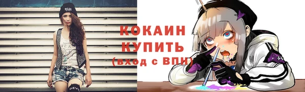 амф Дмитриев