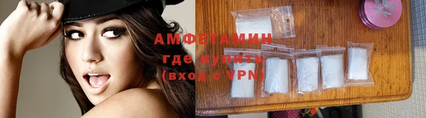 амф Дмитриев