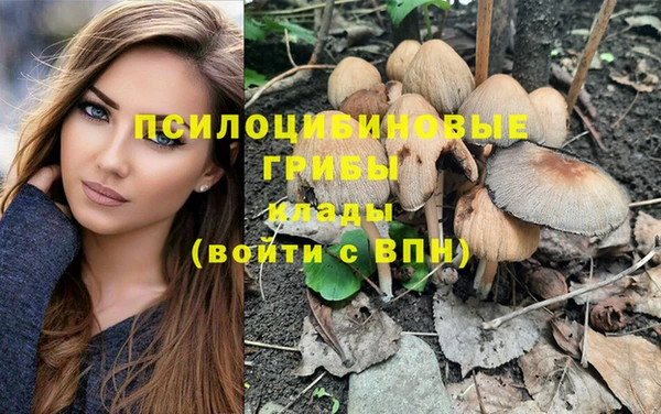 прущие крисы Дмитров