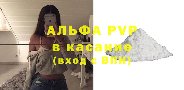 амф Дмитриев