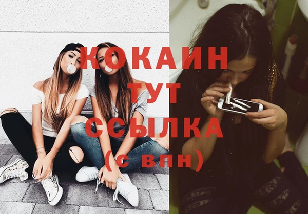 молекула духа Дмитровск