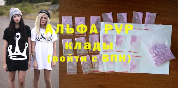 амф Дмитриев