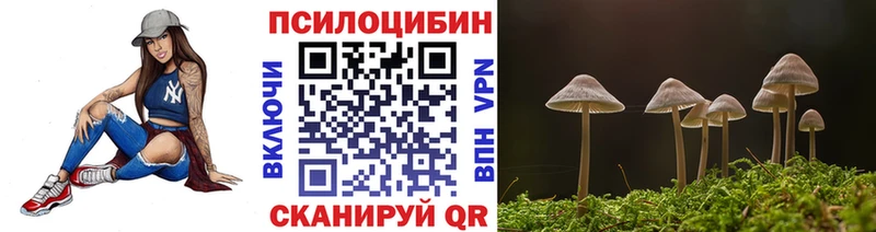 Псилоцибиновые грибы Psilocybe Петров Вал
