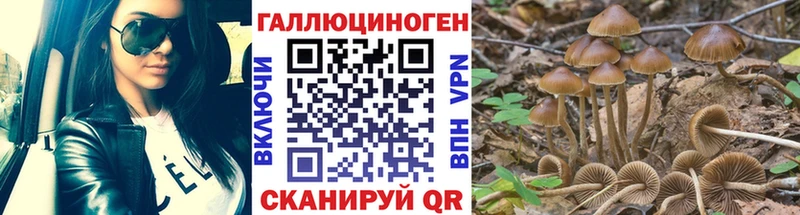 Псилоцибиновые грибы GOLDEN TEACHER  купить закладку  Петров Вал 